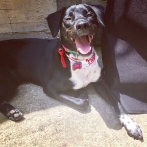 Meet your Posher, Jamie